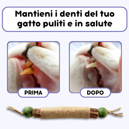 FeliFresh™ - Pulisci i denti del tuo gatto in pochi minuti (4 pezzi)